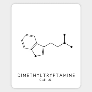 Dimethyltryptamine / DMT Molecular Structure in White Magnet